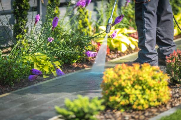 Best Sidewalk and Walkway Cleaning  in Burien, WA